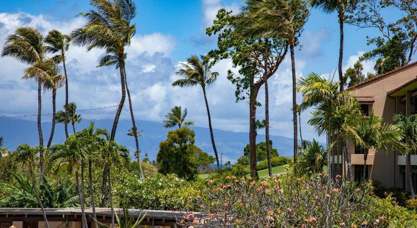Kaanapali Apartment | 142 m² Apartment ∙ 2 bedrooms ∙ 6 guests
