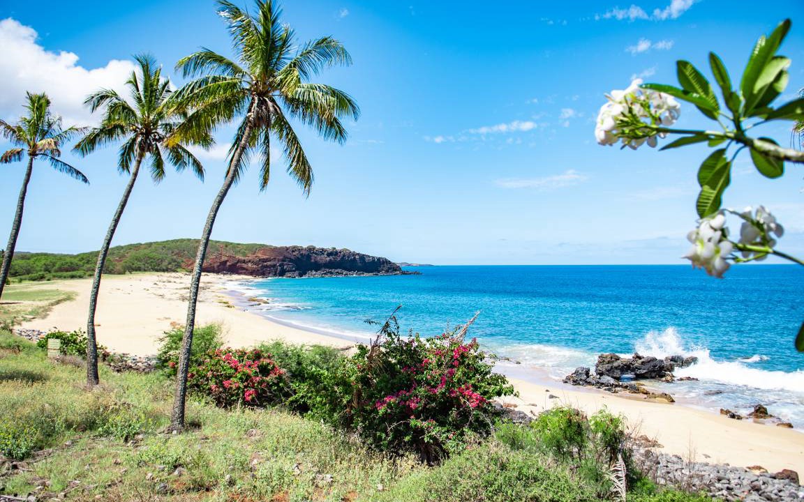 Maunaloa Apartment | 32 m² Studio flat ∙ 2 guests