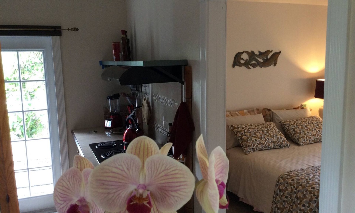 Kapoho House | Bungalow only 2 blocks from the ocean (Cliff) with private patio & OCEAN VIEW