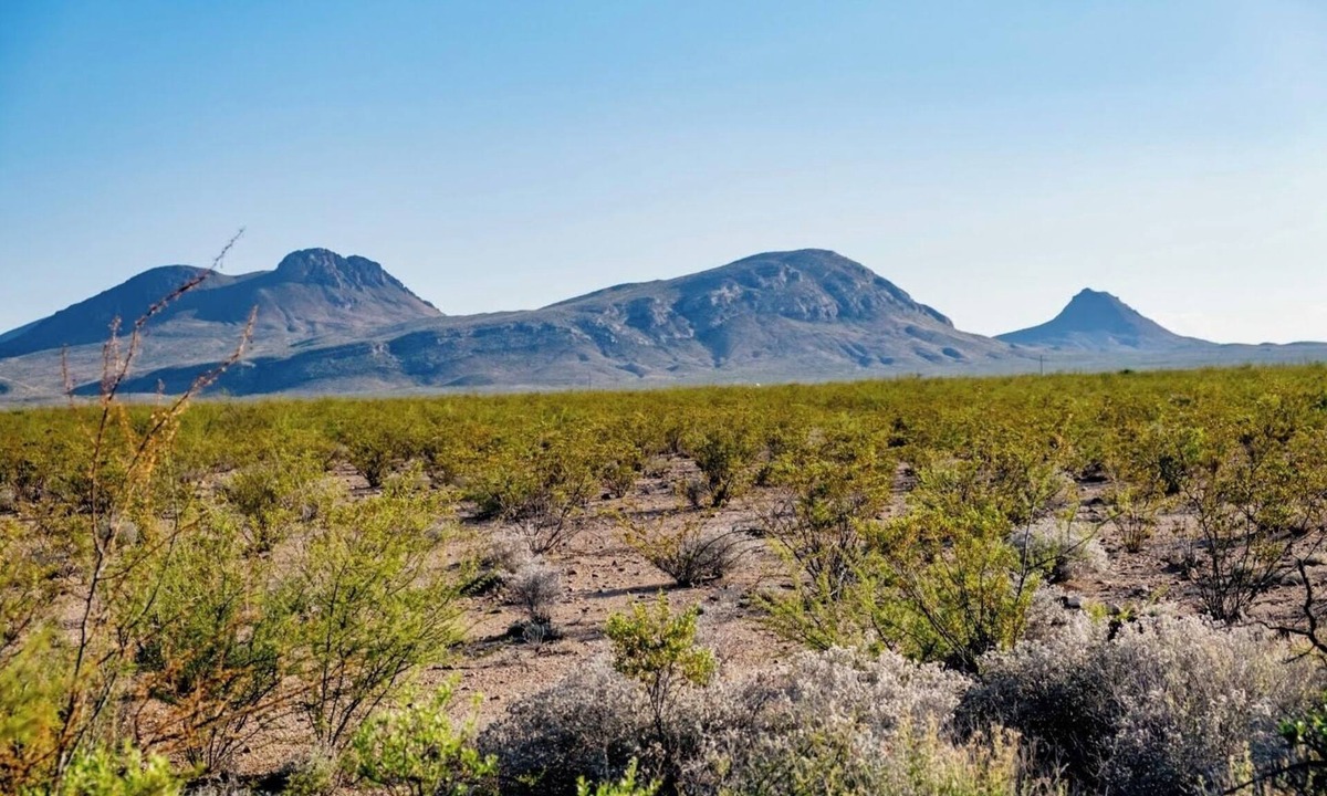 Alpine RV Rental | Camp Eldorado