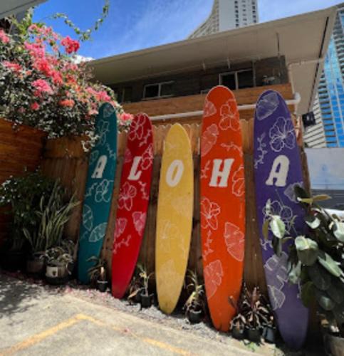 Waikiki Hostel | Honu Waikiki by ALOH