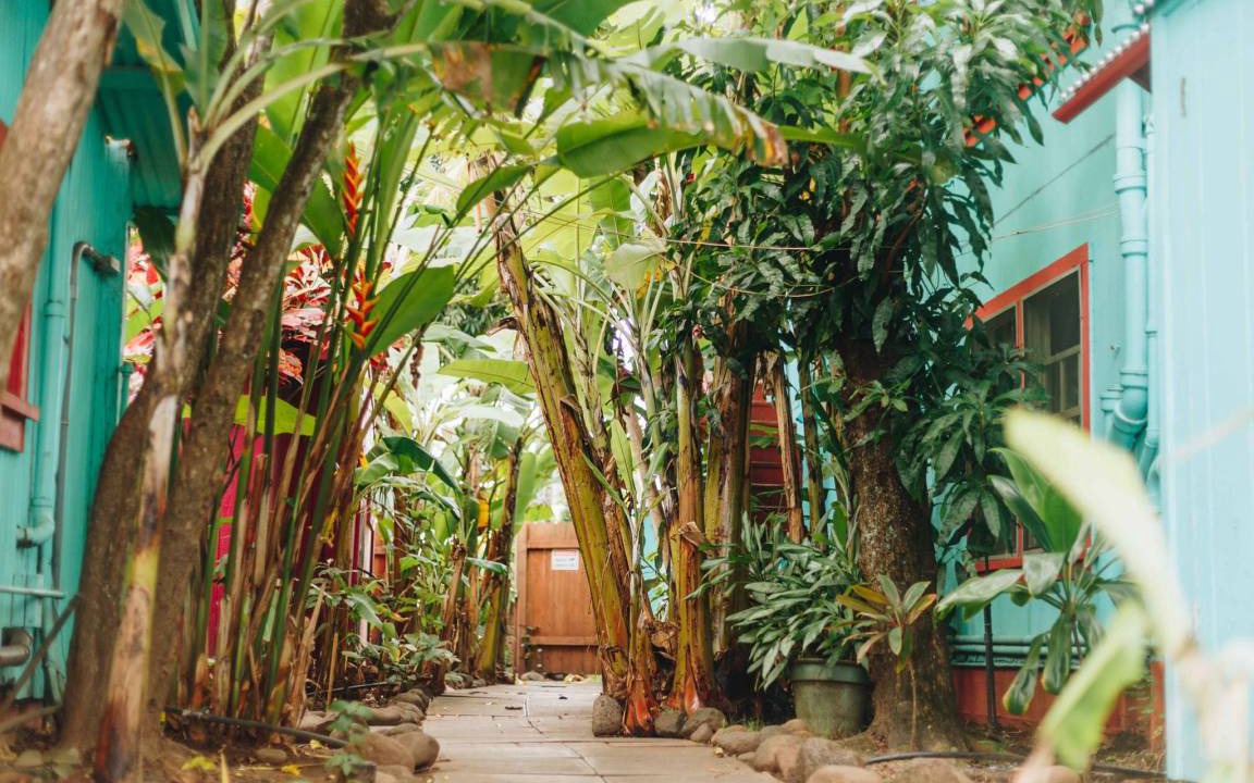 Wailuku Hostel | Hostel ∙ 10 guests