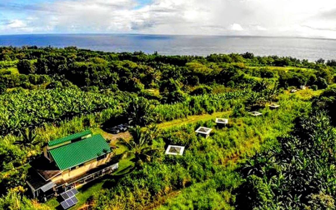Pepeekeo House | House ∙ 1 bedroom ∙ 6 guests