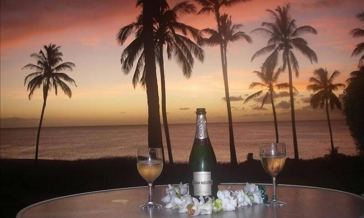 Maunaloa Condo | Newly Upgraded- One Bedroom Ocean Front Condo/Spectacular Sunset View