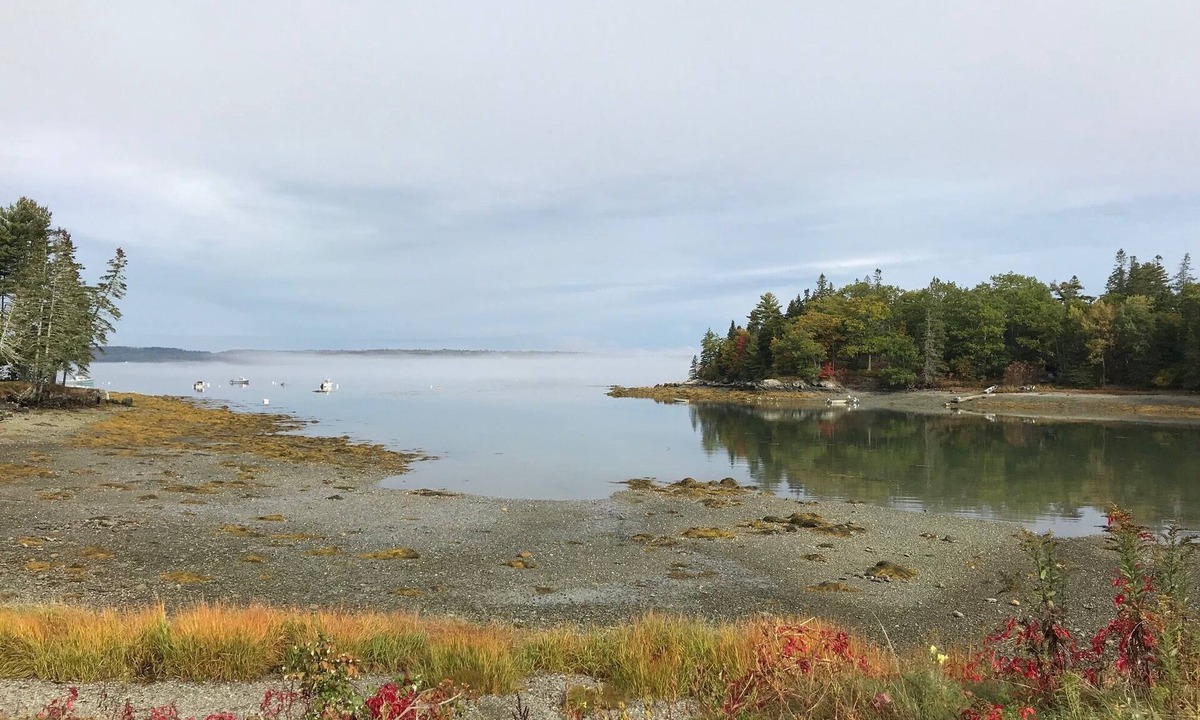 Salsbury Cove Cottage | Oceanfront Cottage at Acadia National Park, Bar Harbor/Laughing Gull Cottage
