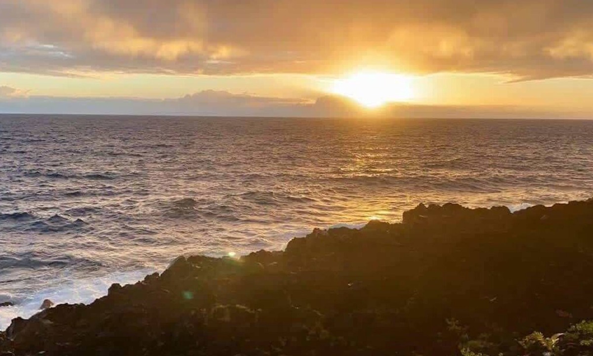 Kapoho Apartment | Oceanfront studio see whales and dolphins