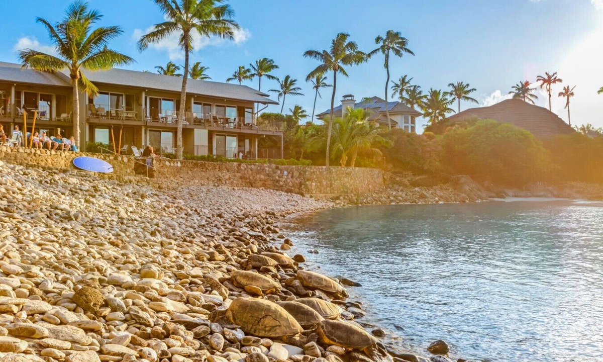 Napili Condo | Recently remodeled 3 bedroom, snorkel in private cove, walk to top rated beaches (Unit 217)