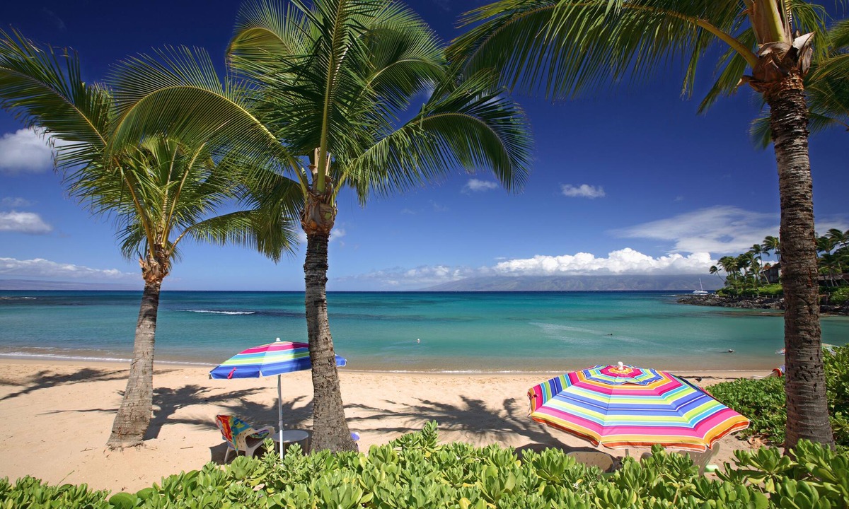 Napili Hotel | The Mauian - Boutique Beach Studios on Napili Bay