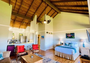 Spacious King studio in Paniolo Hale at Kepuhi Beach with amazing ocean views