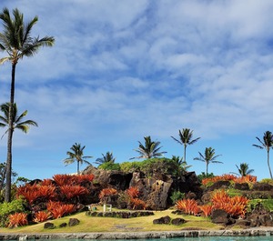 Resort Ocean 