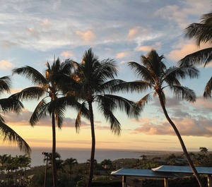 Ocean Views 