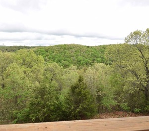 Mi Silver Dollar City 
