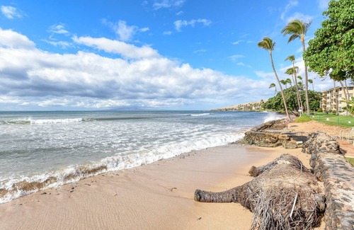 Maalaea Condo | 52 m² Condo ∙ 1 bedroom ∙ 4 guests