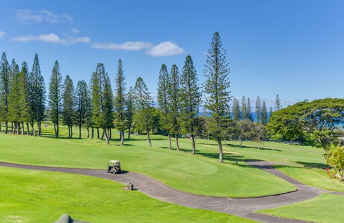 Kapalua Apartment | 87 m² Apartment ∙ 1 bedroom ∙ 4 guests