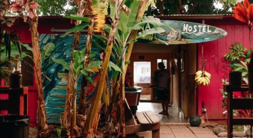 Wailuku Hostel | Banana Bungalow Maui Hostel