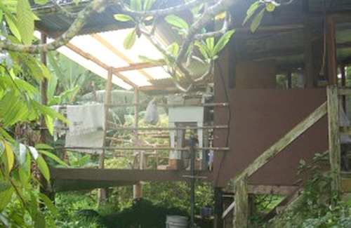 Kapoho Other | Camping ∙ 1 bedroom ∙ 4 guests