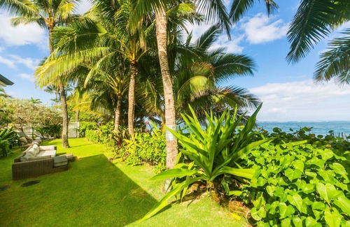 Waialua Apartment | Cozy studio next to the ocean with hot tub, lanai, beach access and WIFI