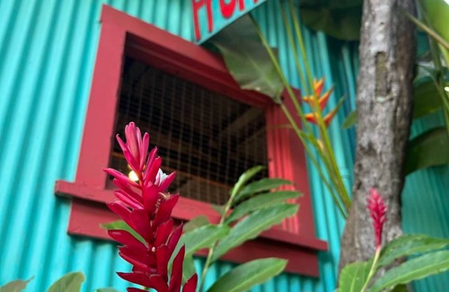 Wailuku Hostel | Hostel ∙ 10 guests