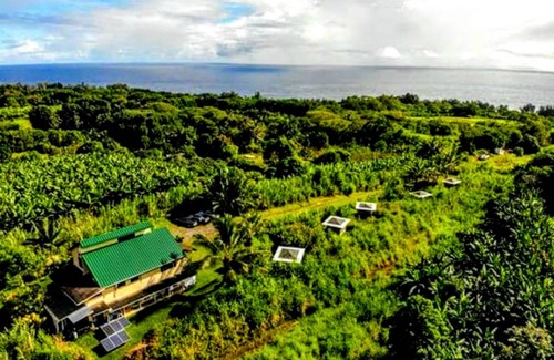 Pepeekeo House | House ∙ 1 bedroom ∙ 4 guests