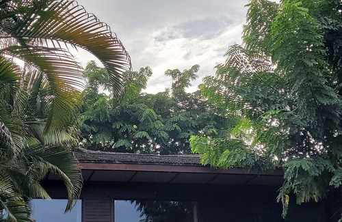 Waialee House | North Shore Getaway w/Ocean Views steps to Beaches and Surf