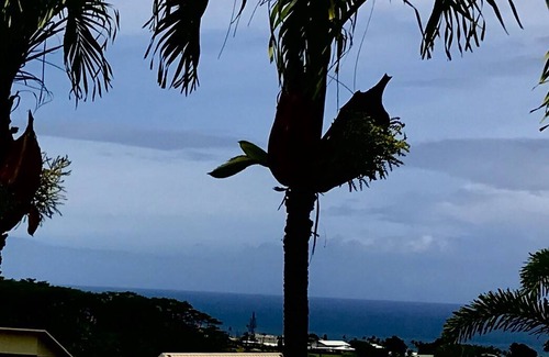Hilo Resort | Private room ∙ 2 guests