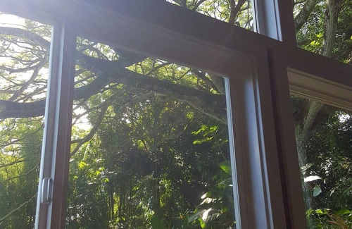 Puna Palisades Cottage | SWEET SPOT STAY-ENCHANTING GROTTO-Walk to the Beach and Warm Ponds Nearby