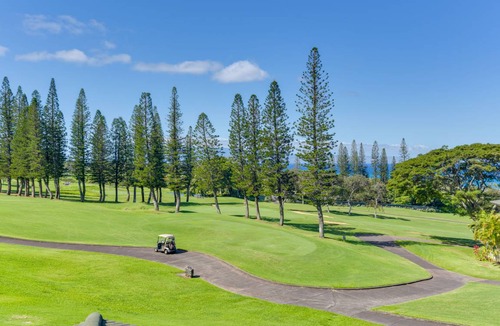 Kapalua Apartment | 87 m² Apartment ∙ 1 bedroom ∙ 4 guests