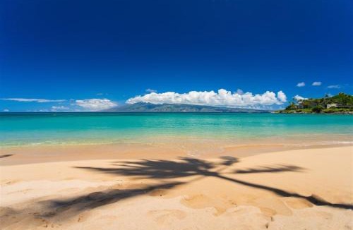 Kapalua Apartment | 924 Ridge