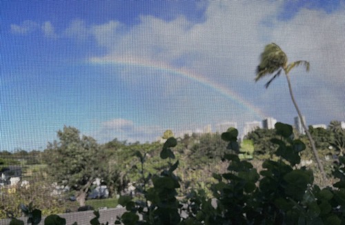 Diamond Head - Kapahulu - St. Louis Condo | Beautiful Condo in the heart Diamond Head Honolulu, HI