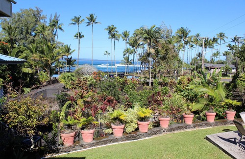Hilo House | Best Hilo Location @ Richardsons Beach Park, Swimming, Snorkeling Sleeps 8-Save$