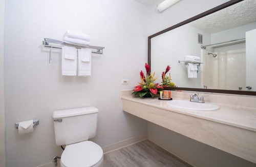 Kahului House | Embrace Nature! 3 Pet-Friendly Retreats Close to Kanaha Pond Wildlife Sanctuary