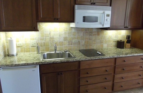 Waikiki Condo | Enjoy the Ocean View, Relaxing Beaches and Vibrant Night Life.
