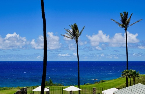 Napili Condo | Gorgeous Oceanfront! - Sweeping Views & Steps to the Beach
