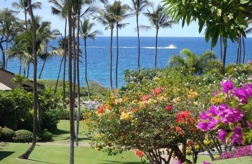 Wailea Condo | Ground Floor Unit; Stone's Throw to Beach and Pool