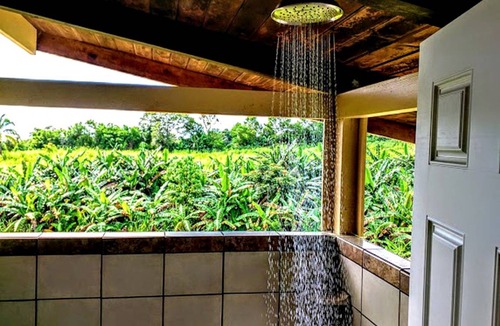 Pepeekeo House | House ∙ 1 bedroom ∙ 4 guests