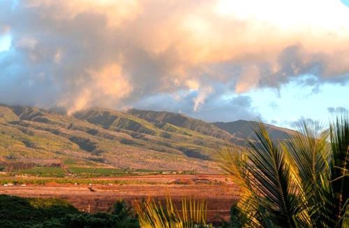 Kaanapali Apartment | KBM Resorts Spacious 4-Bedroom Honua Kai Collection Multi Unit Listing Same Floor Ocean Views 2 Free Rental Cars HKH-51650