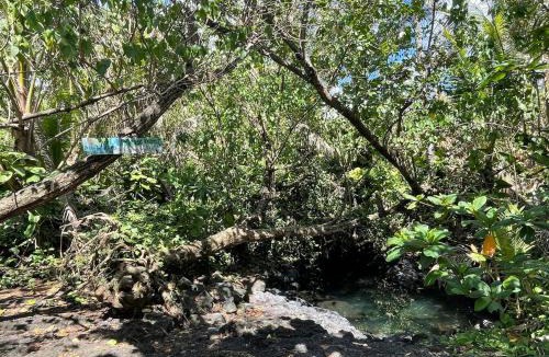 Ainaloa House | Kope Hale Coffee Farm Private Studio near Volcano Park