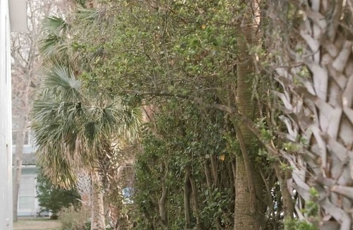 Neptune Beach Apartment | Quiet beach oasis, walk to the beach!