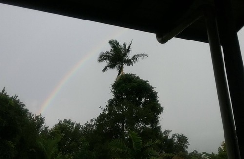 Hakalau Apartment | Relax near Port of Hilo, charming Hakalau apartment