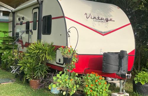 Ocala Other | Retro camper