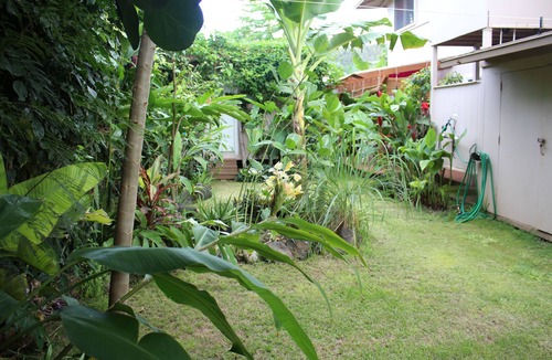 Pupukea House | Steps to the Beach at Sunset Beach - North Shore, Oahu, Hawaii, Min 30 days
