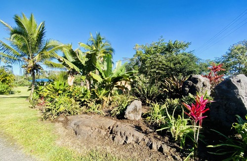 Kapoho Apartment | Sunrise Suite - Oceanfront lodging