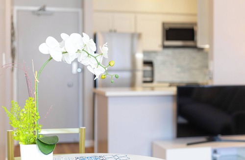 Ala Moana Apartment | Sweet & Cozy in Honolulu Free WIFI & AC