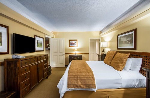 Waikiki Hotel | The Equus