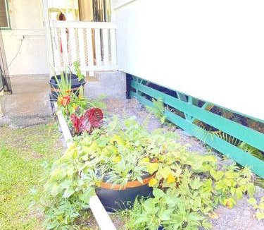 Hilo House | THE HILO HOMEBASE - Charming 3 Bedroom Hilo Home, with AC!