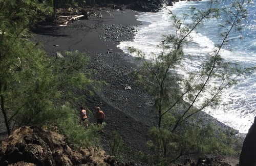 Kehena Cottage | Tropical Tree Guest Cottage near Pahoa, Hawaii