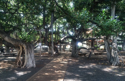 Historic Lahaina Front Street Condo | Vacation in Paradise at Lahaina Shores Resort