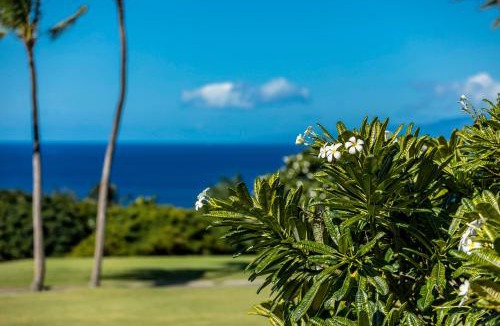 Wailea Apartment | Wailea Ekolu 1510 by Coldwell Banker Island Vacations