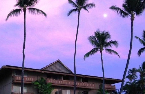 Kaanapali House | Your Hawaiian Adventure Awaits! 2 Relaxing Units, Water Activities, Parking!