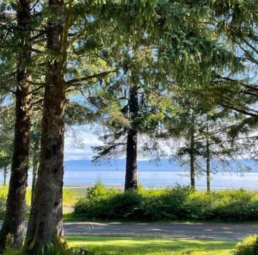 Beach Cabin Pet-Friendly near Forks & Sekiu
